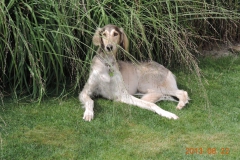 redIodah 4 ans dans le jardin